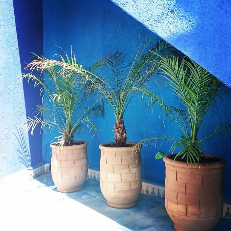 Dar Massaneh Villa Essaouira Buitenkant foto